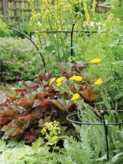 Essex Plant Supports -Outdoor Garden Supply Store 37423 280 tif