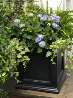 Fairfield Self-Watering Square Planter, 20” X 20” 11 Fairfield Self-Watering Square Planter, 20” X 20” -Outdoor Garden Supply Store 39 618 205V tif