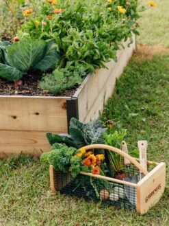 Garden Hods -Outdoor Garden Supply Store 39 761 572 tif