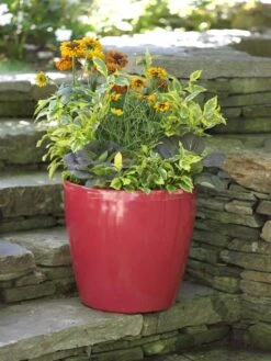 Viva Round Self-Watering Rolling Planter, 17.25” Diameter -Outdoor Garden Supply Store 39326 046 tif
