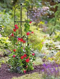 Essex Round Trellises -Outdoor Garden Supply Store 39544 2267 tif