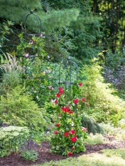 Essex Round Trellises -Outdoor Garden Supply Store 39545 2286 tif