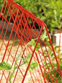 Deluxe Cucumber Trellis -Outdoor Garden Supply Store 39806 542 tif
