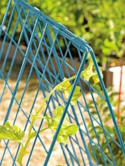 Deluxe Cucumber Trellis -Outdoor Garden Supply Store 39806 BLUE 100 tif