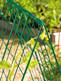 Deluxe Cucumber Trellis -Outdoor Garden Supply Store 39806 GR edit tif