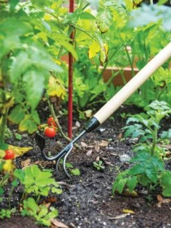 Gardener's Lifetime Long-Handled Double Tool -Outdoor Garden Supply Store 3 4 crop 8592107 2460 tif