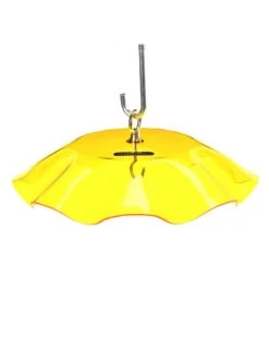 Birds Choice Weather Guard Feeder Cover -Outdoor Garden Supply Store 3 4 crop 8608735 25V