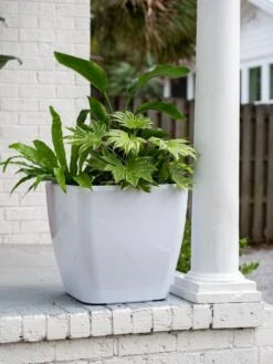 Viva Square Self-Watering Rolling Planter, 20" Diameter, Set Of 2 -Outdoor Garden Supply Store 3 4 crop 8612930 0033 tif