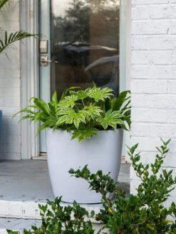 Viva Round Self-Watering Rolling Planter, 20" Diameter, Set Of 2 -Outdoor Garden Supply Store 3 4 crop 8612933 0025 tif