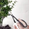 Japanese Pruning Scisssors