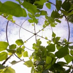 Jardin Tower -Outdoor Garden Supply Store 3 4 crop 8612997 0033