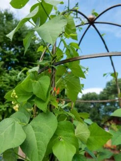 Jardin Tower -Outdoor Garden Supply Store 3 4 crop 8612997 0058