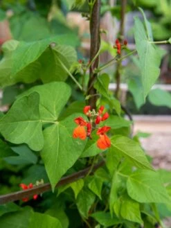 Jardin Tower -Outdoor Garden Supply Store 3 4 crop 8612997 0059