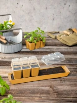 Gardener's Best® Humidity Dome, Set Of 2 -Outdoor Garden Supply Store 3 4 crop 8613067 10063