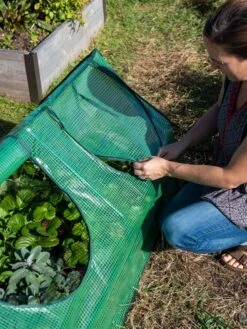 Multi Cloche -Outdoor Garden Supply Store 3 4 crop 8613213 0245