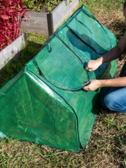 Multi Cloche -Outdoor Garden Supply Store 3 4 crop 8613213 0250