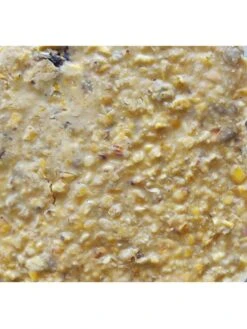 Cherry Sunflower Suet, 11.75 OZ, 12 Pack 7 Cherry Sunflower Suet, 11.75 OZ, 12 Pack -Outdoor Garden Supply Store 3 4 crop 8613689 04V