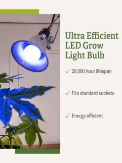 Miracle LED® Grow Light Bulb, Blue 8 Miracle LED® Grow Light Bulb, Blue -Outdoor Garden Supply Store 3 4 crop Miracle Bulb Blue 1