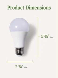 Outdoor Garden Supply Store -Outdoor Garden Supply Store 3 4 crop Miracle Bulb Blue