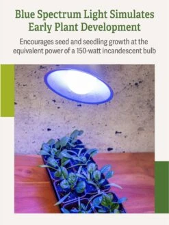 Miracle LED® Grow Light Bulb, Blue 10 Miracle LED® Grow Light Bulb, Blue -Outdoor Garden Supply Store 3 4 crop Miracle Bulb Blue 3