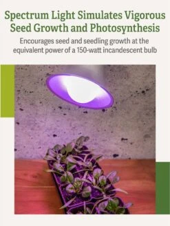 Miracle LED® Grow Light Bulb, Red And Blue -Outdoor Garden Supply Store 3 4 crop Miracle Bulb RB 3