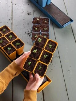 Gardener's Best® XL Seed Starting Kit 19 Gardener's Best® XL Seed Starting Kit -Outdoor Garden Supply Store 40 135 6186