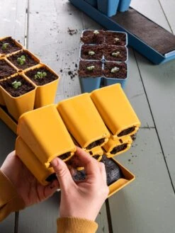 Gardener's Best® XL Seed Starting Kit 21 Gardener's Best® XL Seed Starting Kit -Outdoor Garden Supply Store 40 135 6188