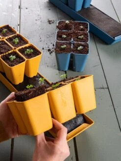 Coco Coir Seed Starting Mix -Outdoor Garden Supply Store 40 135 6192