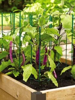 Pepper And Eggplant Stakes, Set Of 3 -Outdoor Garden Supply Store 40308 2116 tif