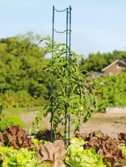 Stacking Tomato Ladders, Set Of 6 -Outdoor Garden Supply Store 40309 100 tif