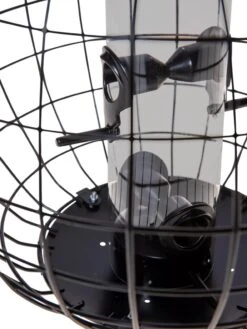 Mixed Seed Globe Cage Feeder -Outdoor Garden Supply Store 8586659 6400