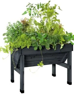 Compact VegTrug® Patio Garden 7 Compact VegTrug® Patio Garden -Outdoor Garden Supply Store 8586919 001 tif