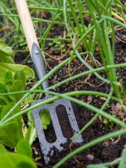 Gardener's Lifetime Spork -Outdoor Garden Supply Store 8586973 2383 tif