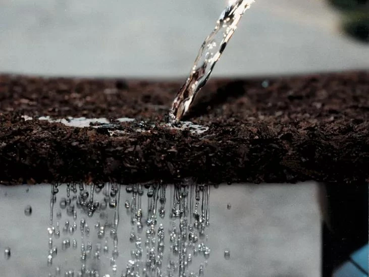 Tree Ring, 36" 2 Tree Ring, 36" - Image 2