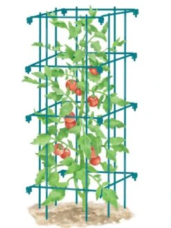 Tomato Cage, Single -Outdoor Garden Supply Store 8587039 TomatoCage BLUE tif