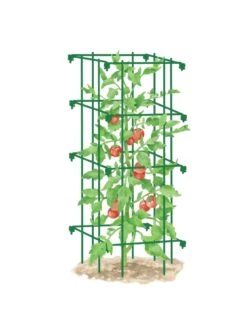 Tomato Cage, Single -Outdoor Garden Supply Store 8587039 TomatoCage GRN tif