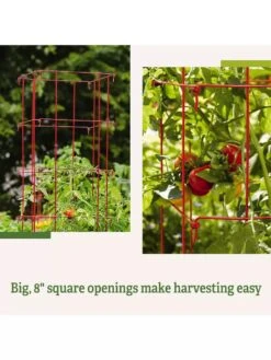 Tomato Cages, Set Of 4 13 Tomato Cages, Set Of 4 -Outdoor Garden Supply Store 8587040 2