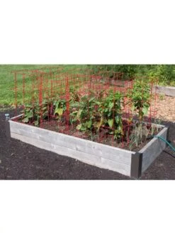 Pepper And Eggplant Cages, Set Of 3 -Outdoor Garden Supply Store 8587048 6008 3 4