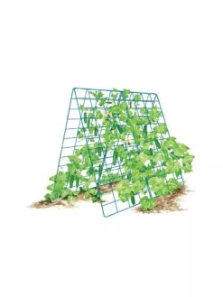 Deluxe Cucumber Trellis -Outdoor Garden Supply Store 8587083 001 BLUE Cukes two sided deluxe cucumber trellis support storm blue 3 4