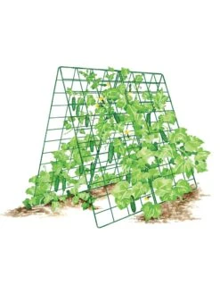 Deluxe Cucumber Trellis -Outdoor Garden Supply Store 8587083 001 GRN tif