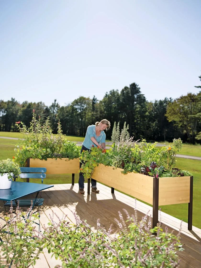 Elevated Planter Box, 2' X 8' 6 Elevated Planter Box, 2' X 8' - Image 6