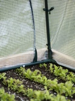 Protection Frame & Covers, 2' X 8' -Outdoor Garden Supply Store 8587631 271 tif