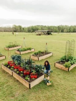 Deep Root Raised Beds, 14" Deep 4' Wide 10 Deep Root Raised Beds, 14" Deep 4' Wide -Outdoor Garden Supply Store 8587813 505 tif