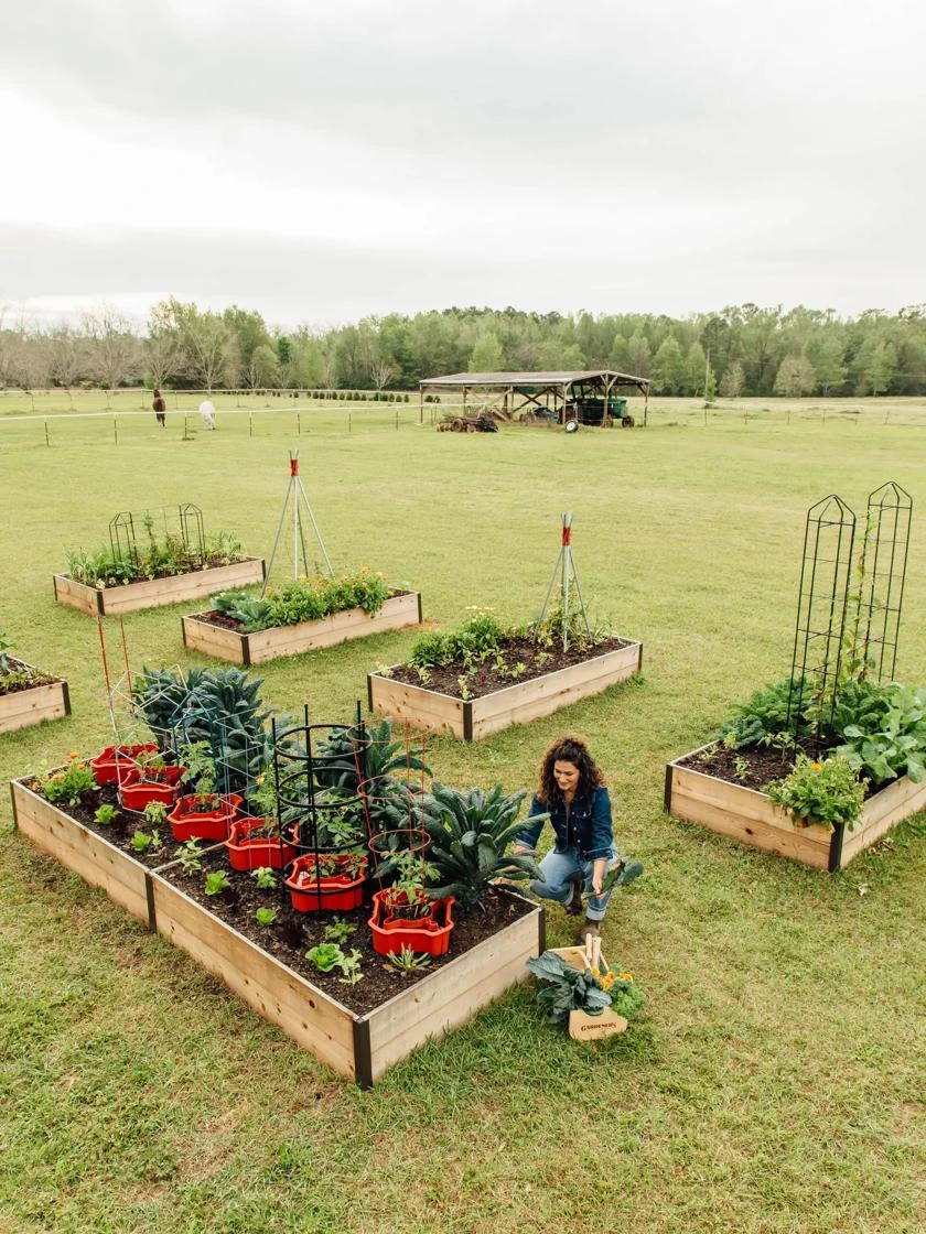 Deep Root Raised Beds, 14" Deep 4' Wide 4 Deep Root Raised Beds, 14" Deep 4' Wide - Image 4