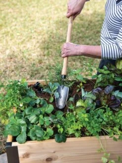 Gardener's Lifetime Raised Bed Trowel 5 Gardener's Lifetime Raised Bed Trowel -Outdoor Garden Supply Store 8588014 4084 tif