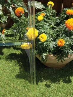 Canopia® By Palram Harmony™ Greenhouse, 6' -Outdoor Garden Supply Store 8588022 005V tif