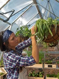 Canopia® By Palram Balance Greenhouse, 8' X 12' 29 Canopia® By Palram Balance Greenhouse, 8' X 12' -Outdoor Garden Supply Store 8588023 07V jpg