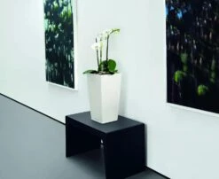 Lechuza® Cubico Color Tall Self-Watering Planters 8 Lechuza® Cubico Color Tall Self-Watering Planters -Outdoor Garden Supply Store 8589485 03V tif