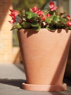 Universal Round Planter Saucers -Outdoor Garden Supply Store 8589526 001V tif