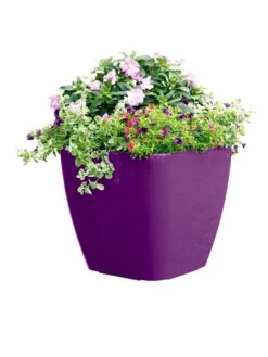 Viva Square Self-Watering Rolling Planter, 17.5" Diameter -Outdoor Garden Supply Store 8589778PR 6126 tif